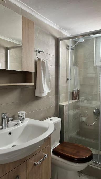 Beautiful Apartment Next To Metro Station Athens Luaran gambar
